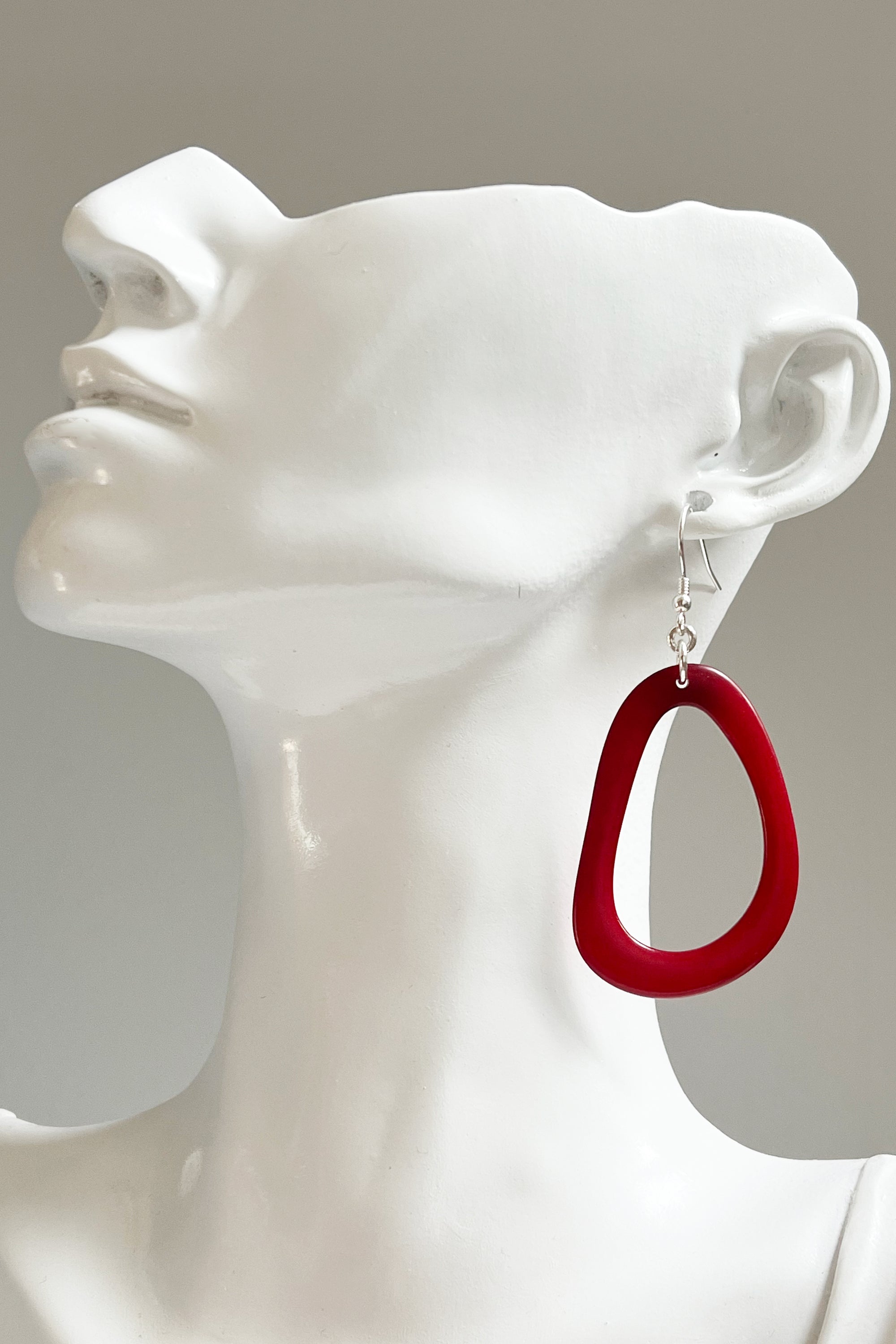 Loop Earrings